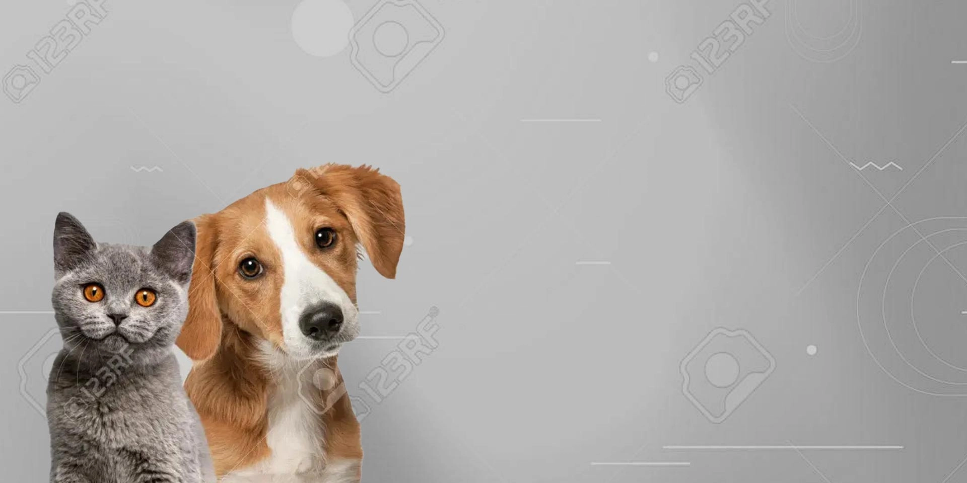 逗樂,Dog Love