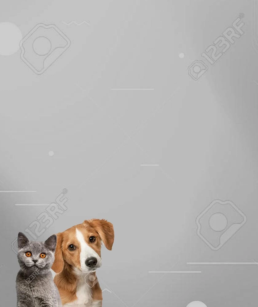 逗樂,Dog Love